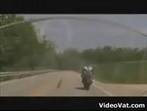 motorcycle-cuts-straight-through-deer
