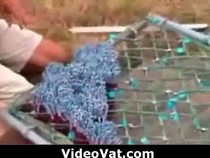 8500-bottle-rockets-firing