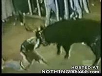 flaming-bull-gets-revenge