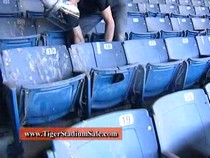 tiger-stadium-sale-dot-com