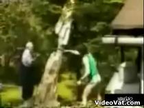 tree-cutter-bad-place-to-stand