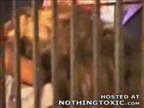 most-shocking-video-of-2007