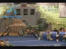 swing-backflip-goes-bad