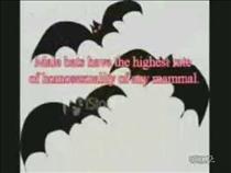 interesting-facts-about-sex