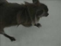 meika-thinking-shes-swimming