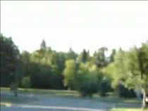 eagle-attacks-cameraman