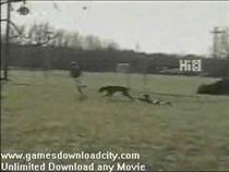 funny-home-video-dogs