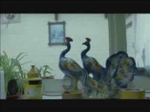 backstory-the-driving-dog