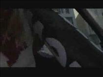 now-that's-a-mewe-city-bike!