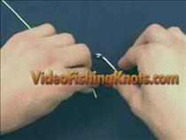 clinched-half-blood-knot