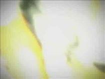 what-the-tobacco-companies-don't-want-you-to-know