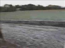 winter-in-koiralinna