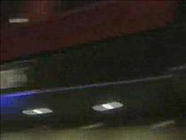 lions%2c-tigers%2c-and-beers