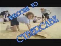 milton-keynes-covered-by-cybercabz-airport-transfers