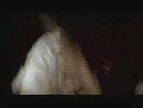 sexy-girl-walking-tight-shorts-and-a-tight-t-shirt-part-3