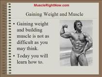 secrets-to-gaining-muscle