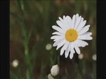 aykut-ilter%2c-ah-kurnaz%2c-designed-by-bahadir-eyup-han-sacikara%2c