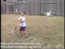 dog-playing-baseball-fun
