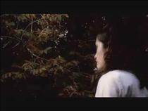 talkin'-about-womens'-bodies-which-shape-is-sexiest