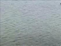 the-gunpowder-golf-shot-4moles