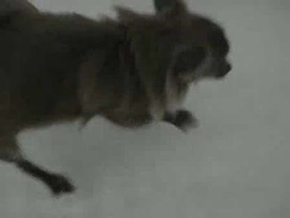 meika thinking shes swimming