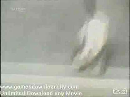 Pussy Cats and other Animals