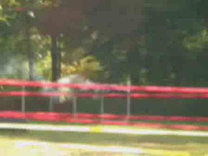 Strobe Rocket Firework - 6 Pound