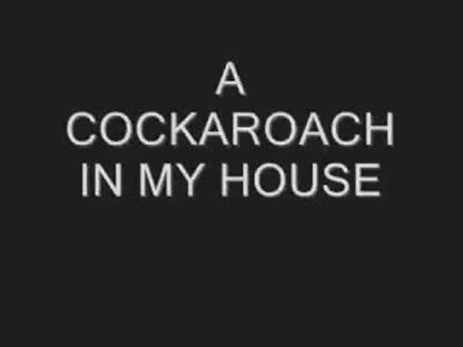 A Cockroach In My House
