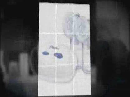 Playtex Breast Pumps